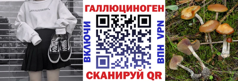 Псилоцибиновые грибы Psilocybine cubensis  Краснотурьинск 